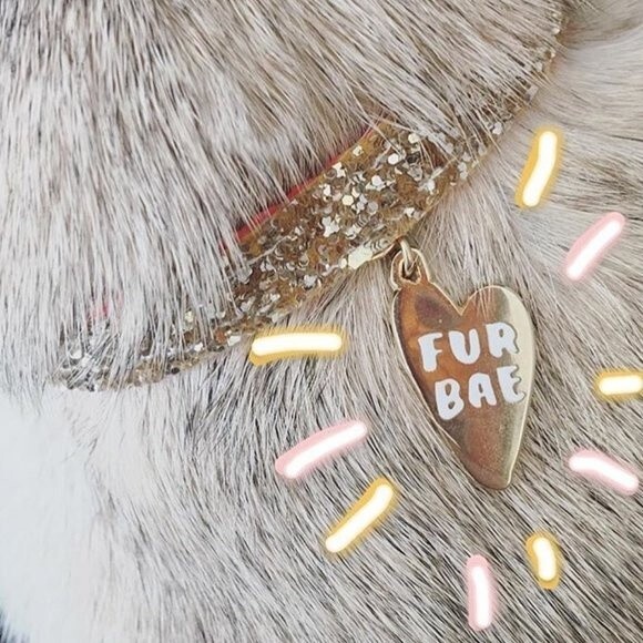 Hello Harriet Cat keychain and 'Fur Bae' Collar Tag - Picture 2 of 10